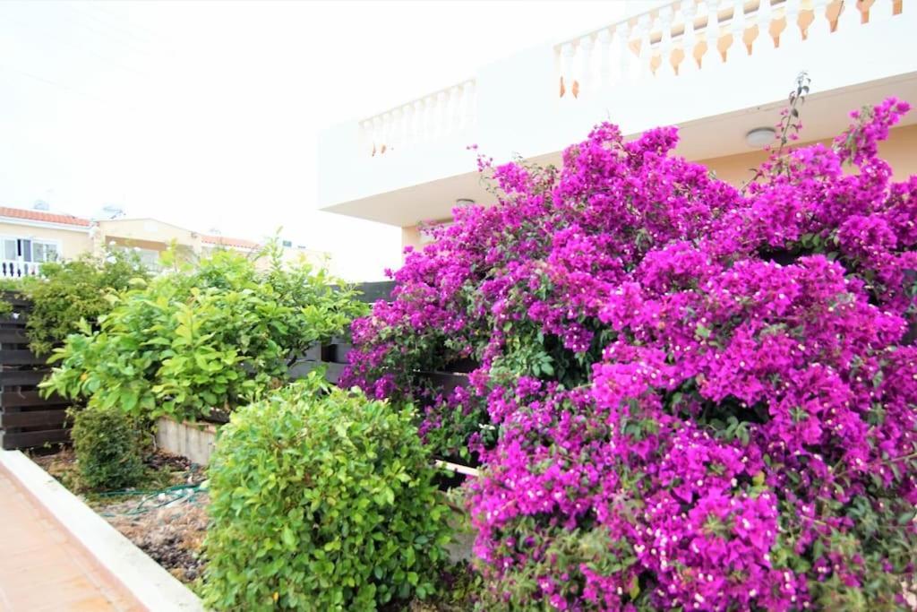 Central Pool-Side 2 Bedroom Apartment In Paphos Luaran gambar